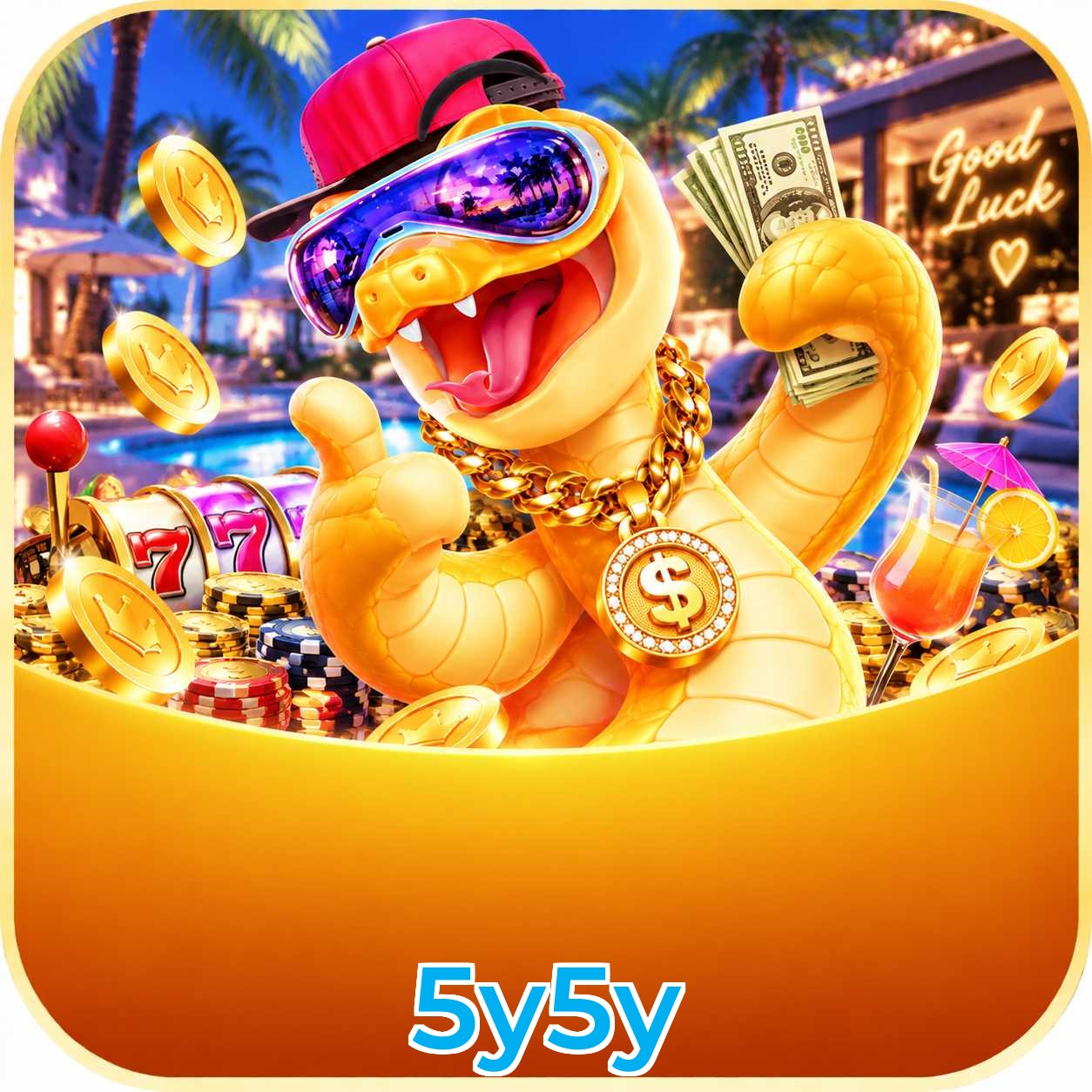 5y5y Performance